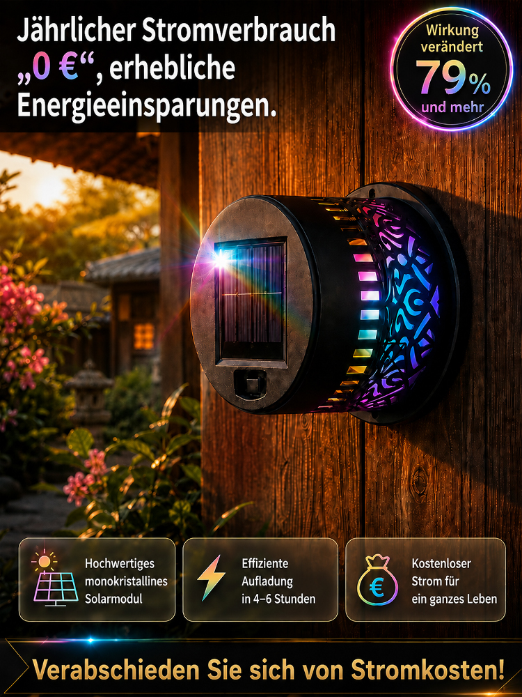 【100 Jahre Lebensdauer】Dandala Solar-Gartenleuchten – keine Installation erforderlich