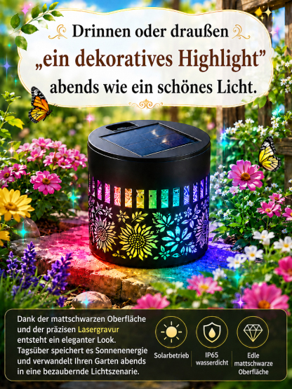 【100 Jahre Lebensdauer】Dandala Solar-Gartenleuchten – keine Installation erforderlich