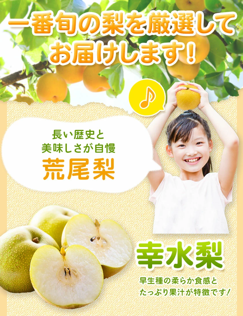 ＜ひるおびおすすめ＞荒尾梨　約4kgまたは4.5～5kg　旬の果実　産地：熊本県荒尾市　品種は小水、秋麗、芳水、秋月、新高など8品種（品種の指定はできません）