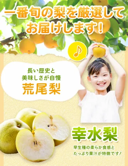 ＜ひるおびおすすめ＞荒尾梨　約4kgまたは4.5～5kg　旬の果実　産地：熊本県荒尾市　品種は小水、秋麗、芳水、秋月、新高など8品種（品種の指定はできません）