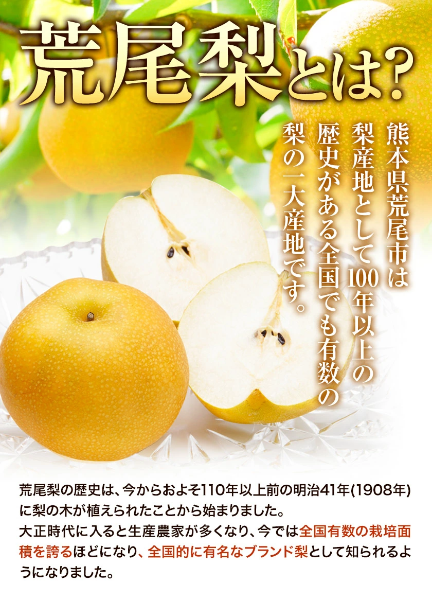 ＜ひるおびおすすめ＞荒尾梨　約4kgまたは4.5～5kg　旬の果実　産地：熊本県荒尾市　品種は小水、秋麗、芳水、秋月、新高など8品種（品種の指定はできません）