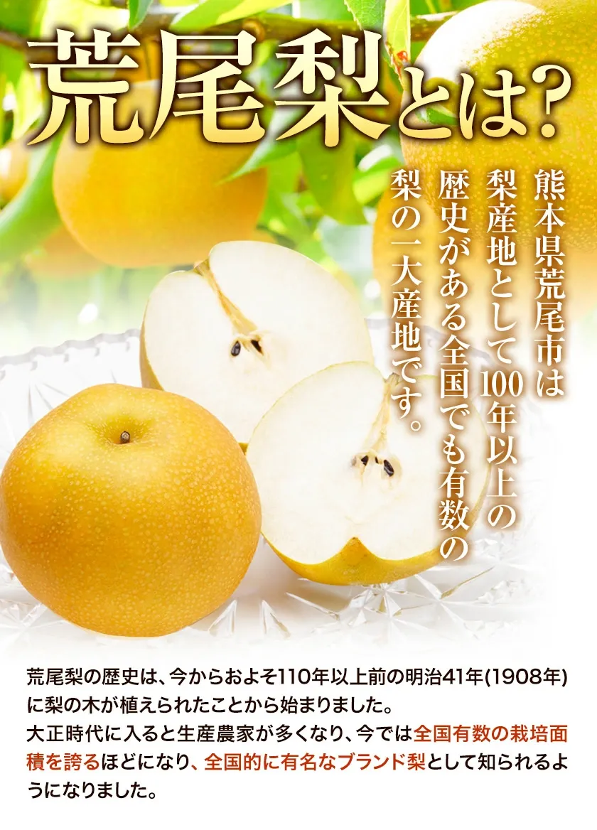 ＜ひるおびおすすめ＞荒尾梨　約4kgまたは4.5～5kg　旬の果実　産地：熊本県荒尾市　品種は小水、秋麗、芳水、秋月、新高など8品種（品種の指定はできません）