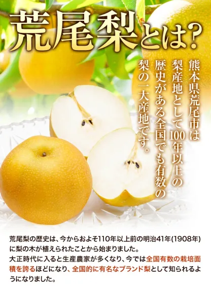 ＜ひるおびおすすめ＞荒尾梨　約4kgまたは4.5～5kg　旬の果実　産地：熊本県荒尾市　品種は小水、秋麗、芳水、秋月、新高など8品種（品種の指定はできません）