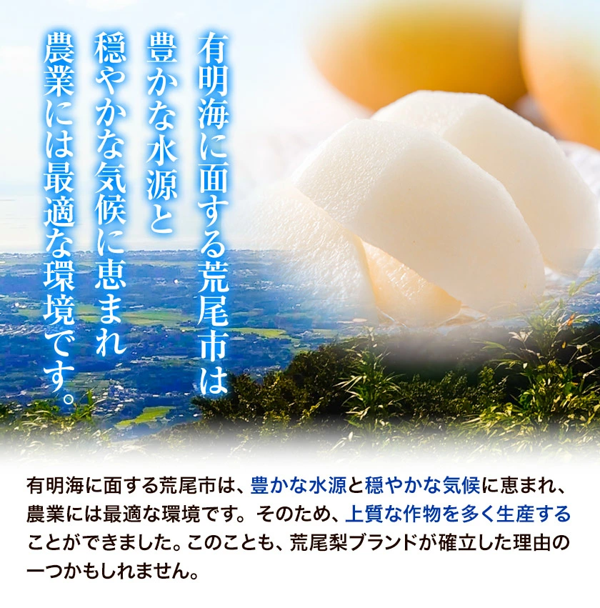 ＜ひるおびおすすめ＞荒尾梨　約4kgまたは4.5～5kg　旬の果実　産地：熊本県荒尾市　品種は小水、秋麗、芳水、秋月、新高など8品種（品種の指定はできません）