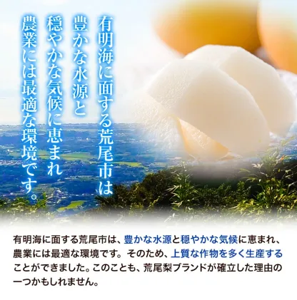 ＜ひるおびおすすめ＞荒尾梨　約4kgまたは4.5～5kg　旬の果実　産地：熊本県荒尾市　品種は小水、秋麗、芳水、秋月、新高など8品種（品種の指定はできません）
