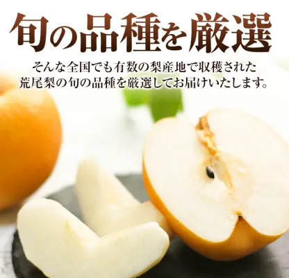 ＜ひるおびおすすめ＞荒尾梨　約4kgまたは4.5～5kg　旬の果実　産地：熊本県荒尾市　品種は小水、秋麗、芳水、秋月、新高など8品種（品種の指定はできません）