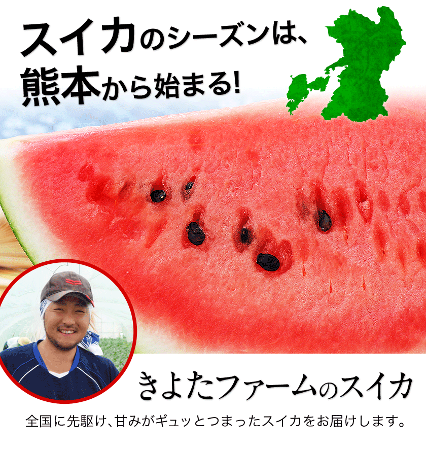清田農園のスイカは、1個約8～10kg。熊本県玉名郡玉戸町産。清田農園のスイカ、果物、熊本県。