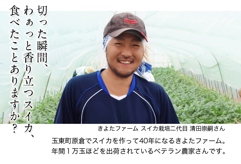 清田農園のスイカは、1個約8～10kg。熊本県玉名郡玉戸町産。清田農園のスイカ、果物、熊本県。
