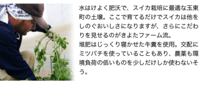 清田農園のスイカは、1個約8～10kg。熊本県玉名郡玉戸町産。清田農園のスイカ、果物、熊本県。