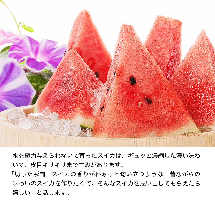 清田農園のスイカは、1個約8～10kg。熊本県玉名郡玉戸町産。清田農園のスイカ、果物、熊本県。