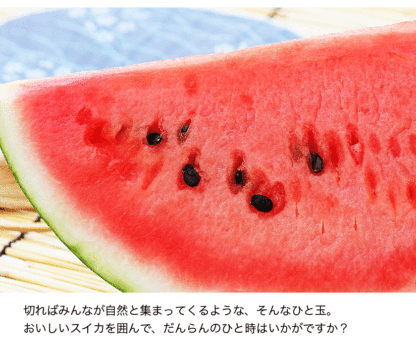 清田農園のスイカは、1個約8～10kg。熊本県玉名郡玉戸町産。清田農園のスイカ、果物、熊本県。