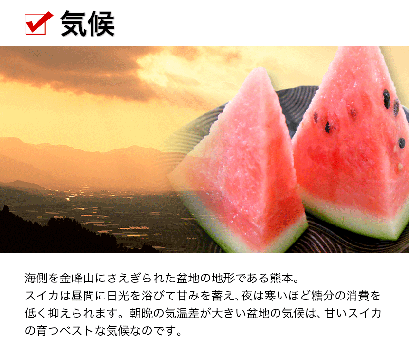 清田農園のスイカは、1個約8～10kg。熊本県玉名郡玉戸町産。清田農園のスイカ、果物、熊本県。