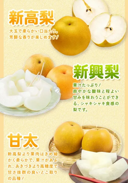 ＜ひるおびおすすめ＞荒尾梨　約4kgまたは4.5～5kg　旬の果実　産地：熊本県荒尾市　品種は小水、秋麗、芳水、秋月、新高など8品種（品種の指定はできません）