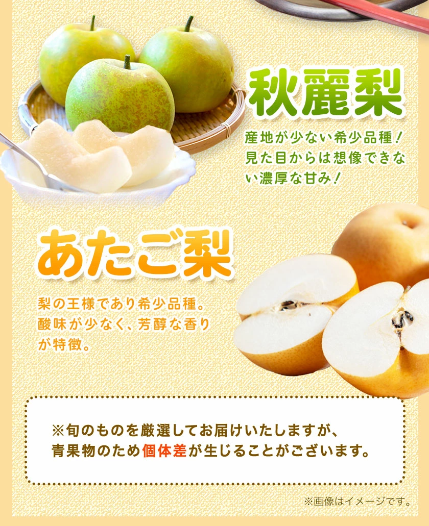 ＜ひるおびおすすめ＞荒尾梨　約4kgまたは4.5～5kg　旬の果実　産地：熊本県荒尾市　品種は小水、秋麗、芳水、秋月、新高など8品種（品種の指定はできません）