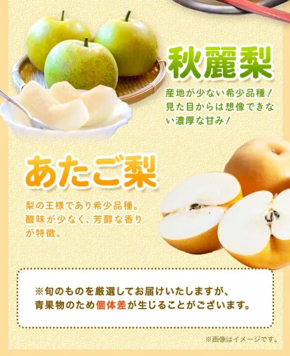 ＜ひるおびおすすめ＞荒尾梨　約4kgまたは4.5～5kg　旬の果実　産地：熊本県荒尾市　品種は小水、秋麗、芳水、秋月、新高など8品種（品種の指定はできません）