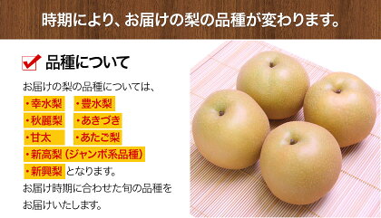 ＜ひるおびおすすめ＞荒尾梨　約4kgまたは4.5～5kg　旬の果実　産地：熊本県荒尾市　品種は小水、秋麗、芳水、秋月、新高など8品種（品種の指定はできません）