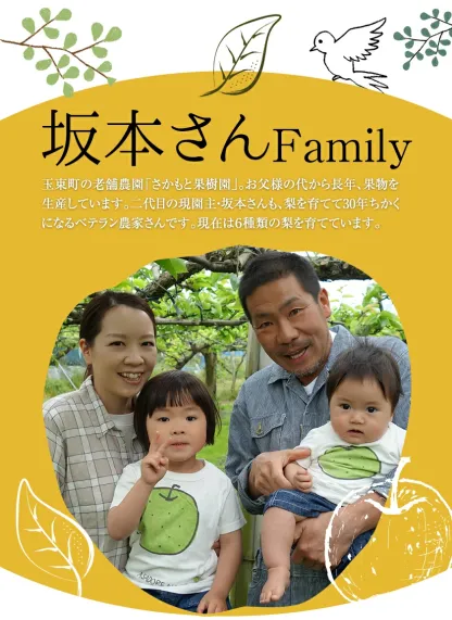 坂本果樹園の翡翠梨は旬を迎えており、約3kg（3～10個）または約5kg（6～18個）のパックで販売されています。