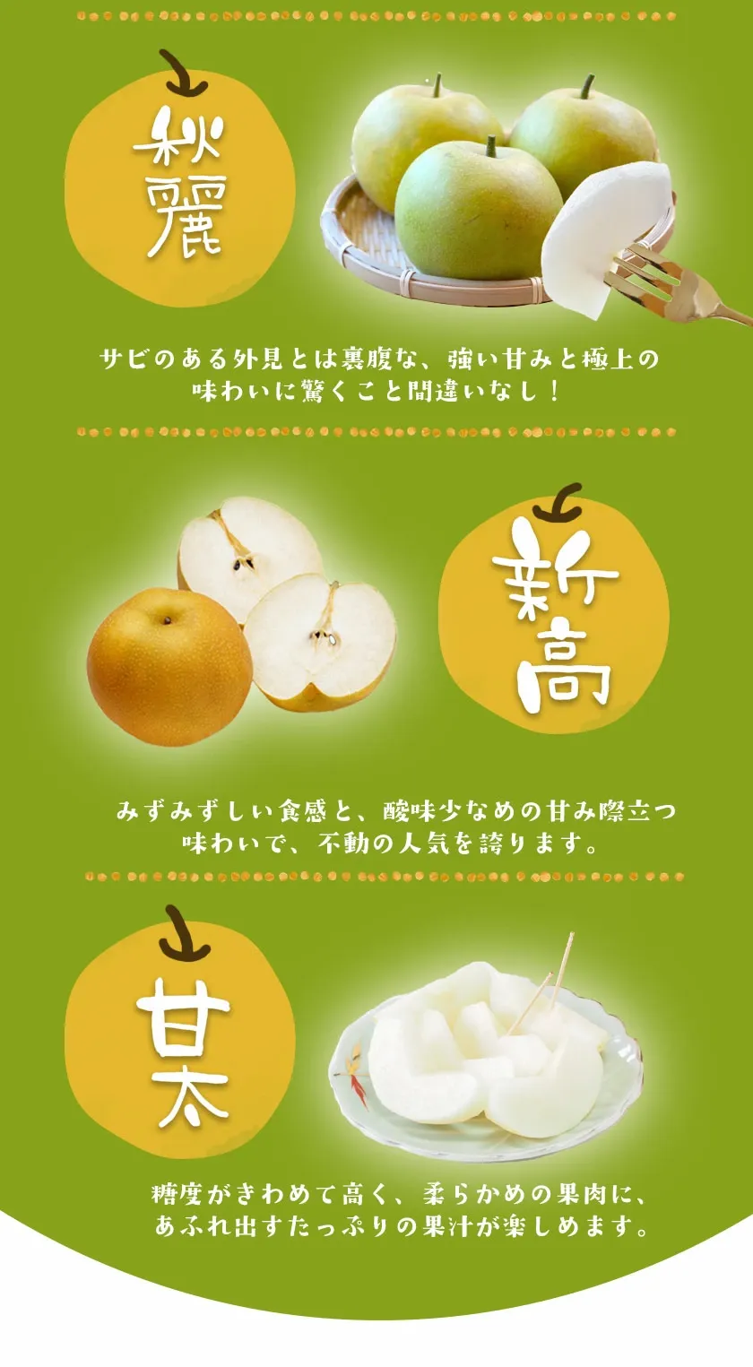 坂本果樹園の翡翠梨は旬を迎えており、約3kg（3～10個）または約5kg（6～18個）のパックで販売されています。