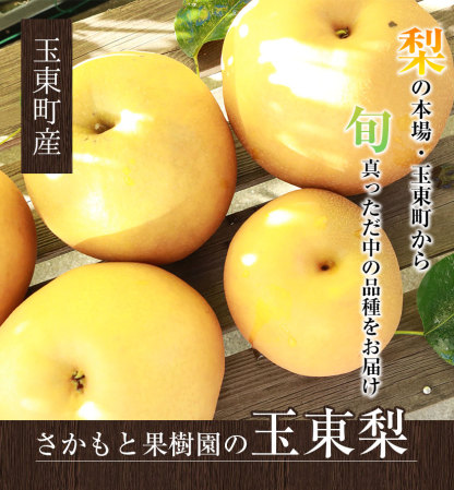 坂本果樹園の翡翠梨は旬を迎えており、約3kg（3～10個）または約5kg（6～18個）のパックで販売されています。
