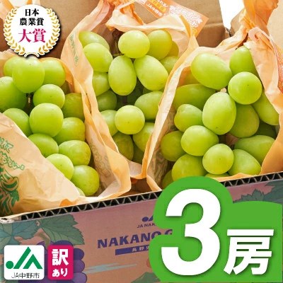 マスカット 3房/4～5房（1.3kg/2.3kg）_シャインマスカット マスカット 産地：長野県中野市 人気商品 送料無料。