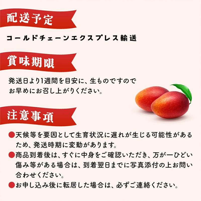 【数量限定】宮崎県産 完熟マンゴー 2リットル×2個（350g-449g以上×2個）宮崎県産完熟マンゴー 旬の果物 マンゴー 送料無料 [KU019]