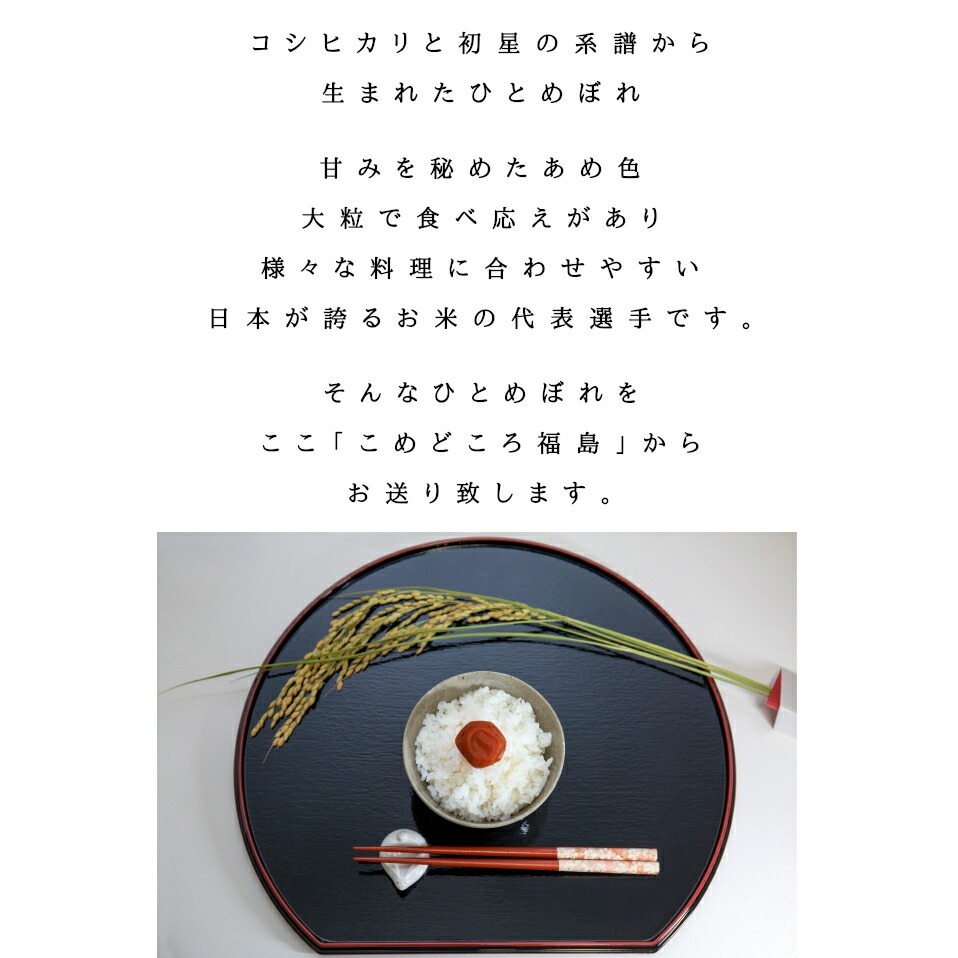 楽天SOY2025大賞受賞記念特価 福島県産ひとめぼれ 5kg(5kg×1袋) 10kg(5kg×2袋) 20kg(5kg×4袋) 30kg(5kg×6袋) 令和7年産 送料無料 白米 5kg 白米 10kg 白米 20kg 白米 30kg 米 お米
