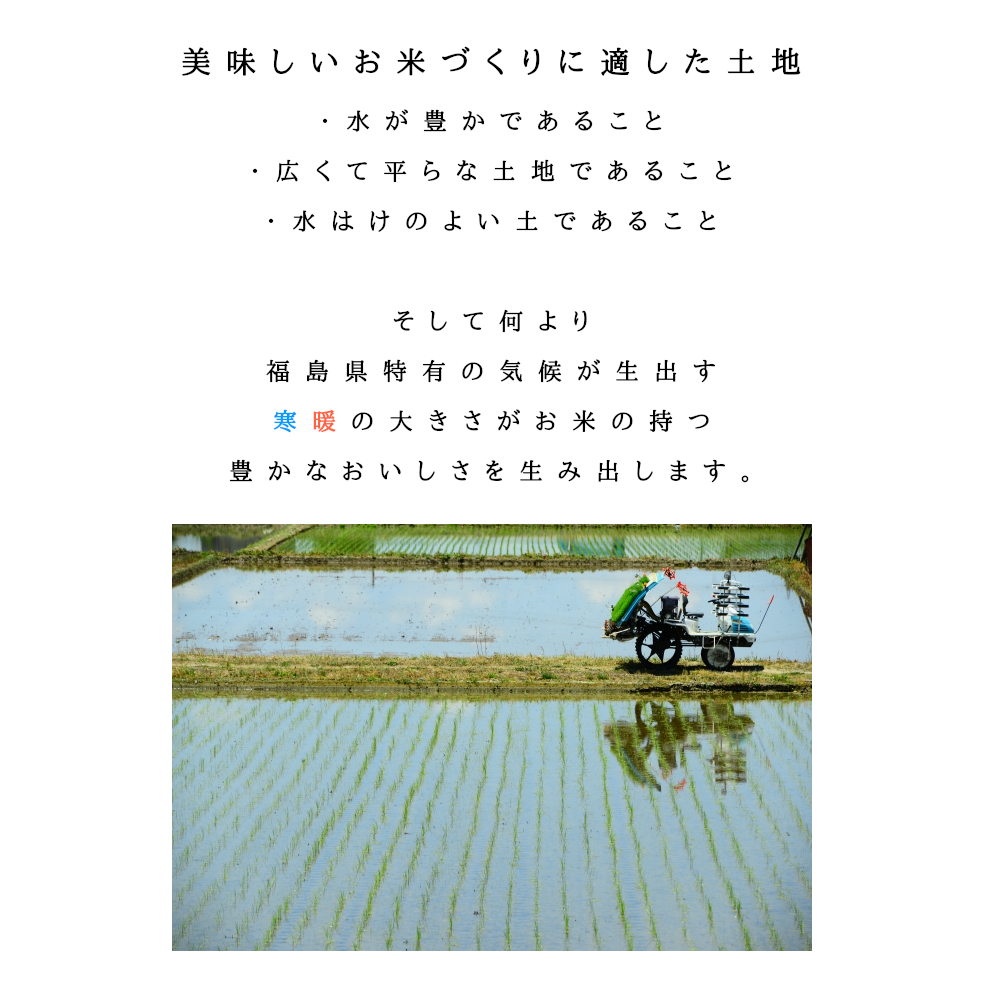 楽天SOY2025大賞受賞記念特価 福島県産ひとめぼれ 5kg(5kg×1袋) 10kg(5kg×2袋) 20kg(5kg×4袋) 30kg(5kg×6袋) 令和7年産 送料無料 白米 5kg 白米 10kg 白米 20kg 白米 30kg 米 お米