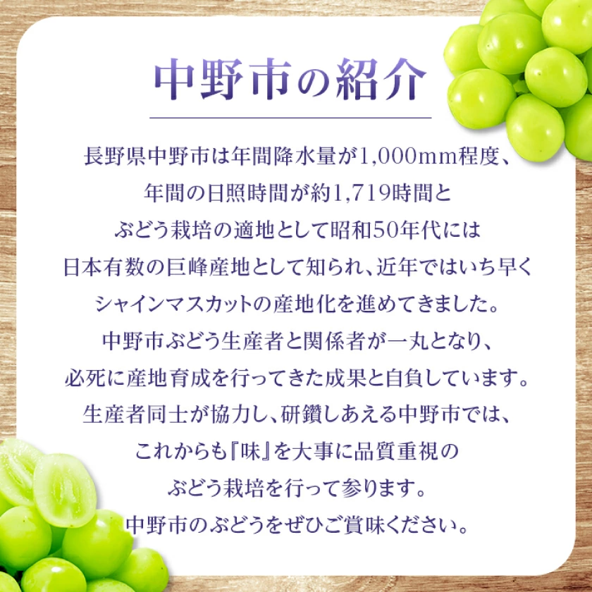 マスカット 3房/4～5房（1.3kg/2.3kg）_シャインマスカット マスカット 産地：長野県中野市 人気商品 送料無料。