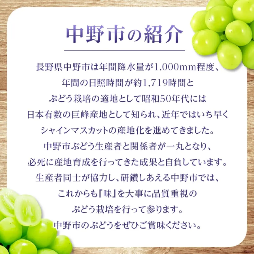 マスカット 3房/4～5房（1.3kg/2.3kg）_シャインマスカット マスカット 産地：長野県中野市 人気商品 送料無料。