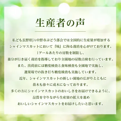 マスカット 3房/4～5房（1.3kg/2.3kg）_シャインマスカット マスカット 産地：長野県中野市 人気商品 送料無料。