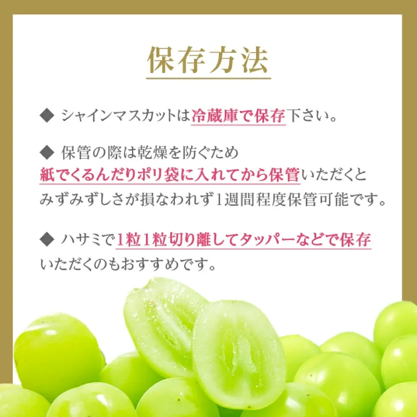 マスカット 3房/4～5房（1.3kg/2.3kg）_シャインマスカット マスカット 産地：長野県中野市 人気商品 送料無料。