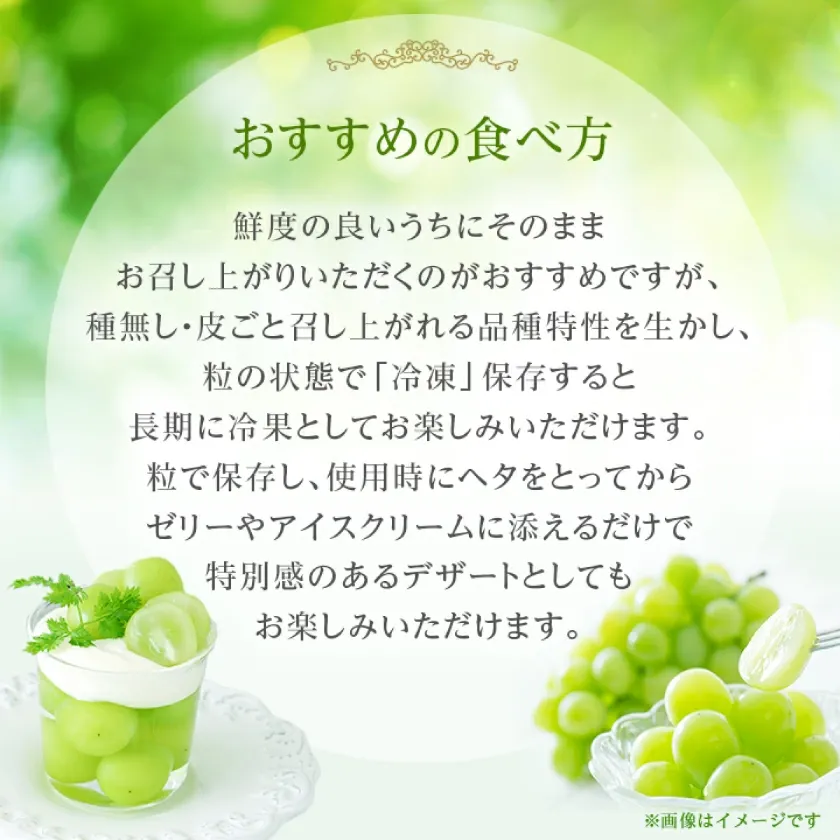 マスカット 3房/4～5房（1.3kg/2.3kg）_シャインマスカット マスカット 産地：長野県中野市 人気商品 送料無料。