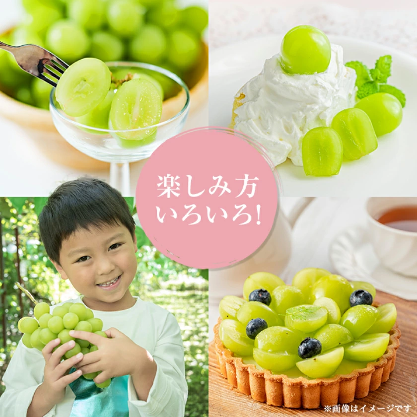 マスカット 3房/4～5房（1.3kg/2.3kg）_シャインマスカット マスカット 産地：長野県中野市 人気商品 送料無料。