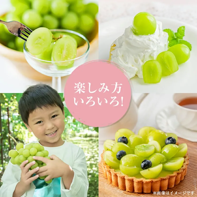 マスカット 3房/4～5房（1.3kg/2.3kg）_シャインマスカット マスカット 産地：長野県中野市 人気商品 送料無料。