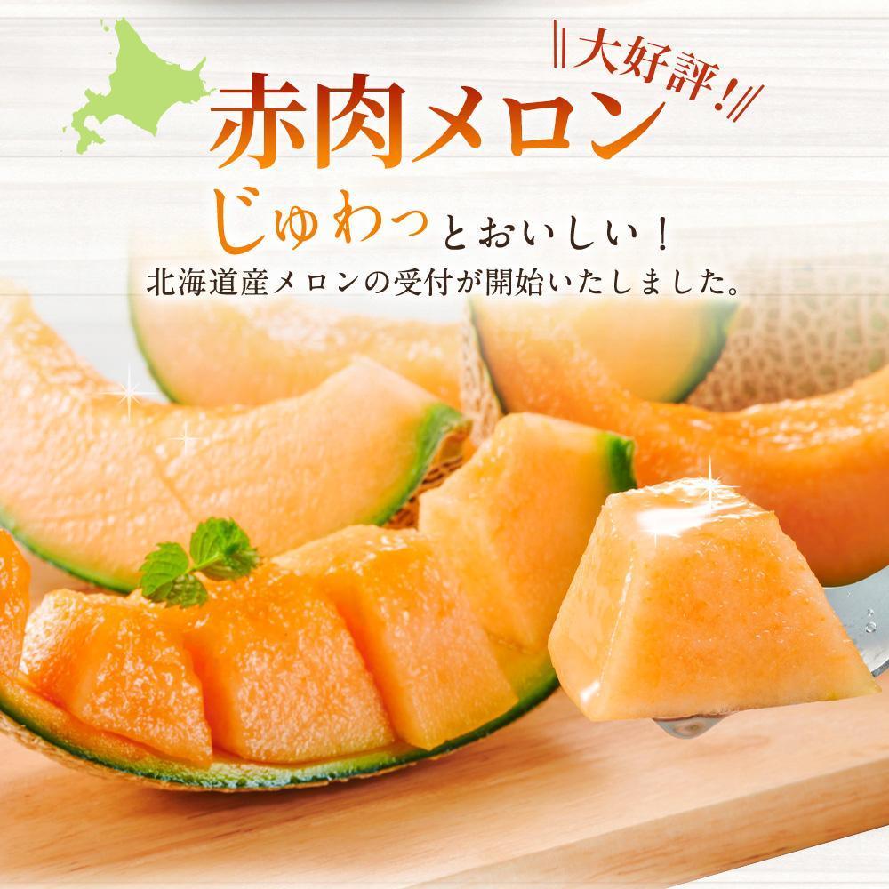 ◆楽天限定◆ 売れ筋商品！北海道産「赤肉メロン」LまたはLL×2個【フルーツ メロン 赤肉 メロン 旬 通販 甘い 北海道 旭川市 北海道】｜メロン2個