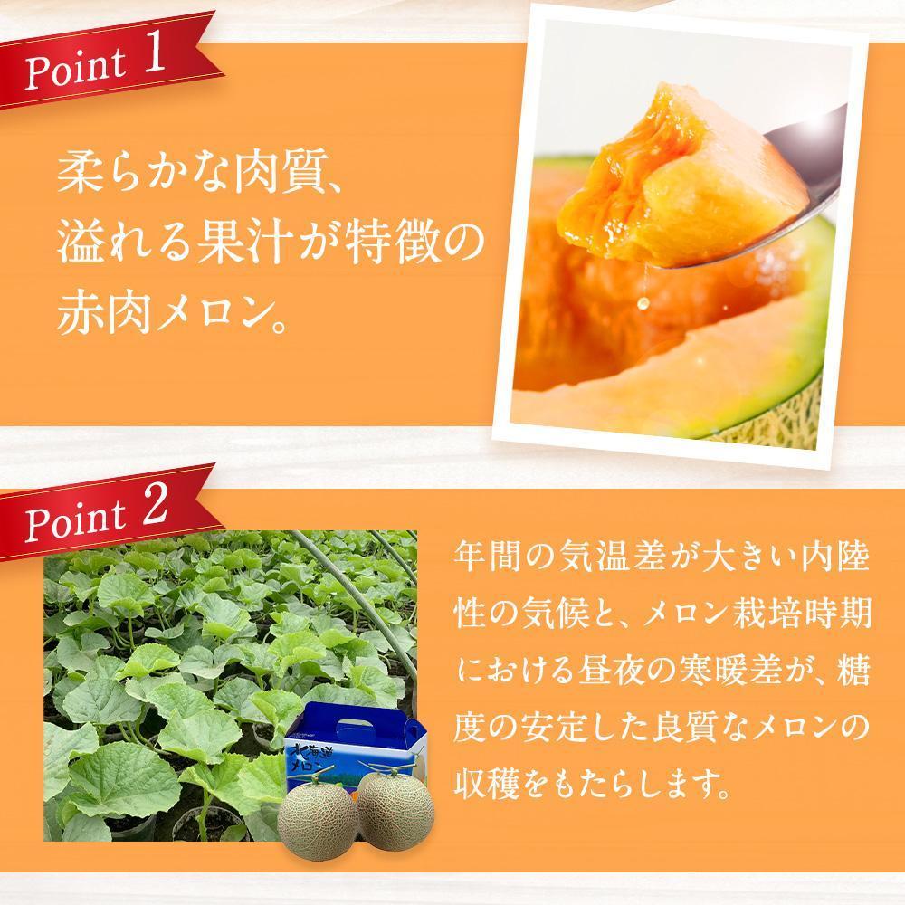 ◆楽天限定◆ 売れ筋商品！北海道産「赤肉メロン」LまたはLL×2個【フルーツ メロン 赤肉 メロン 旬 通販 甘い 北海道 旭川市 北海道】｜メロン2個