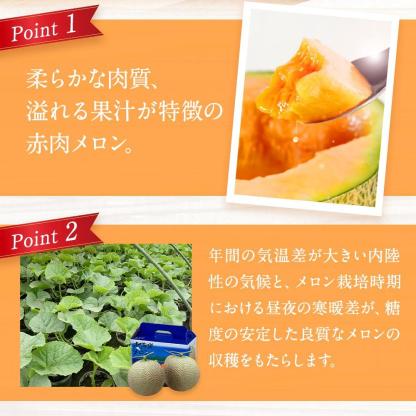 ◆楽天限定◆ 売れ筋商品！北海道産「赤肉メロン」LまたはLL×2個【フルーツ メロン 赤肉 メロン 旬 通販 甘い 北海道 旭川市 北海道】｜メロン2個