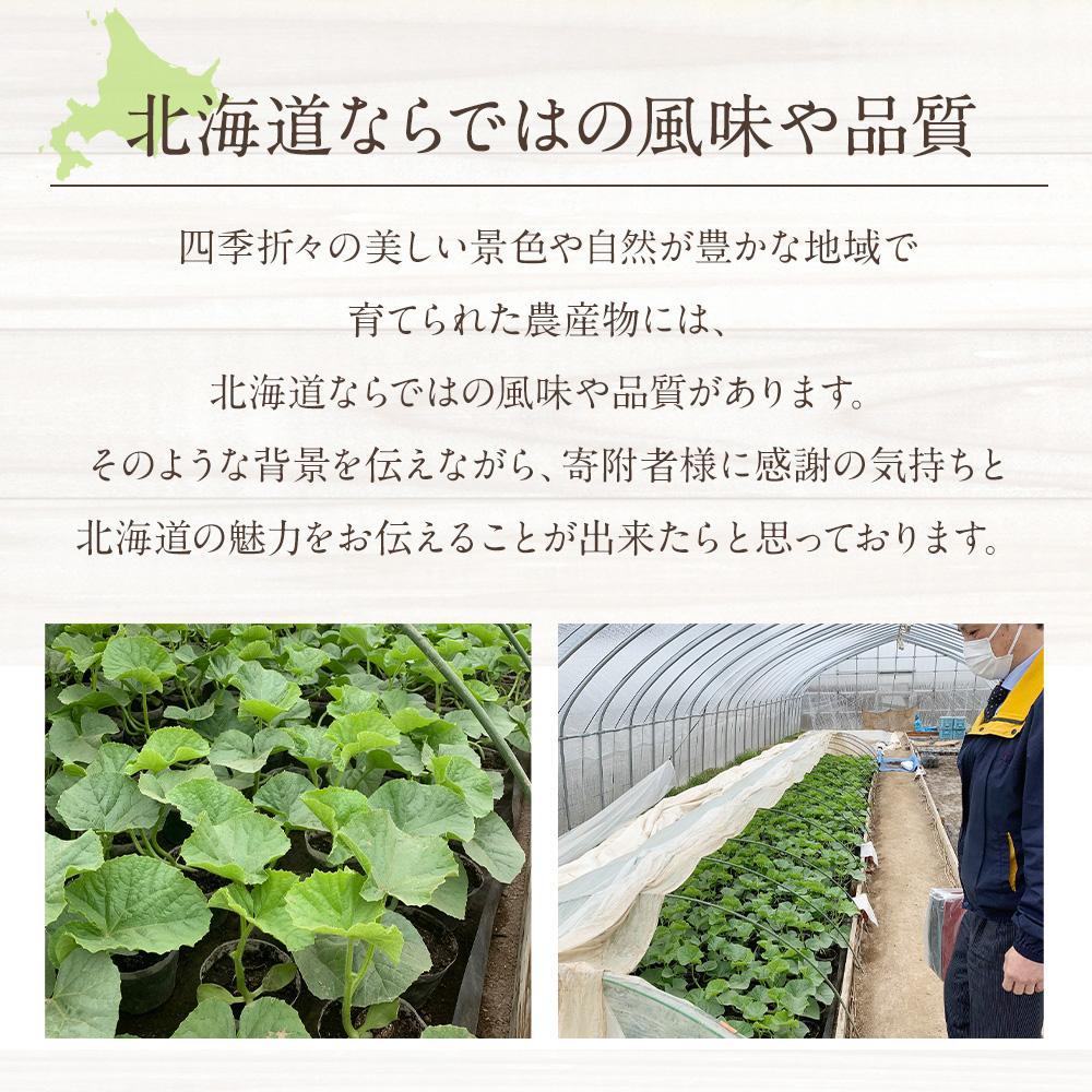 ◆楽天限定◆ 売れ筋商品！北海道産「赤肉メロン」LまたはLL×2個【フルーツ メロン 赤肉 メロン 旬 通販 甘い 北海道 旭川市 北海道】｜メロン2個