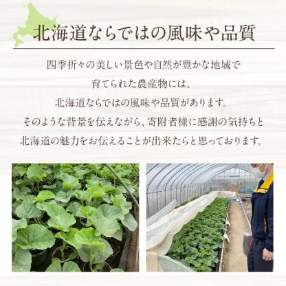 ◆楽天限定◆ 売れ筋商品！北海道産「赤肉メロン」LまたはLL×2個【フルーツ メロン 赤肉 メロン 旬 通販 甘い 北海道 旭川市 北海道】｜メロン2個
