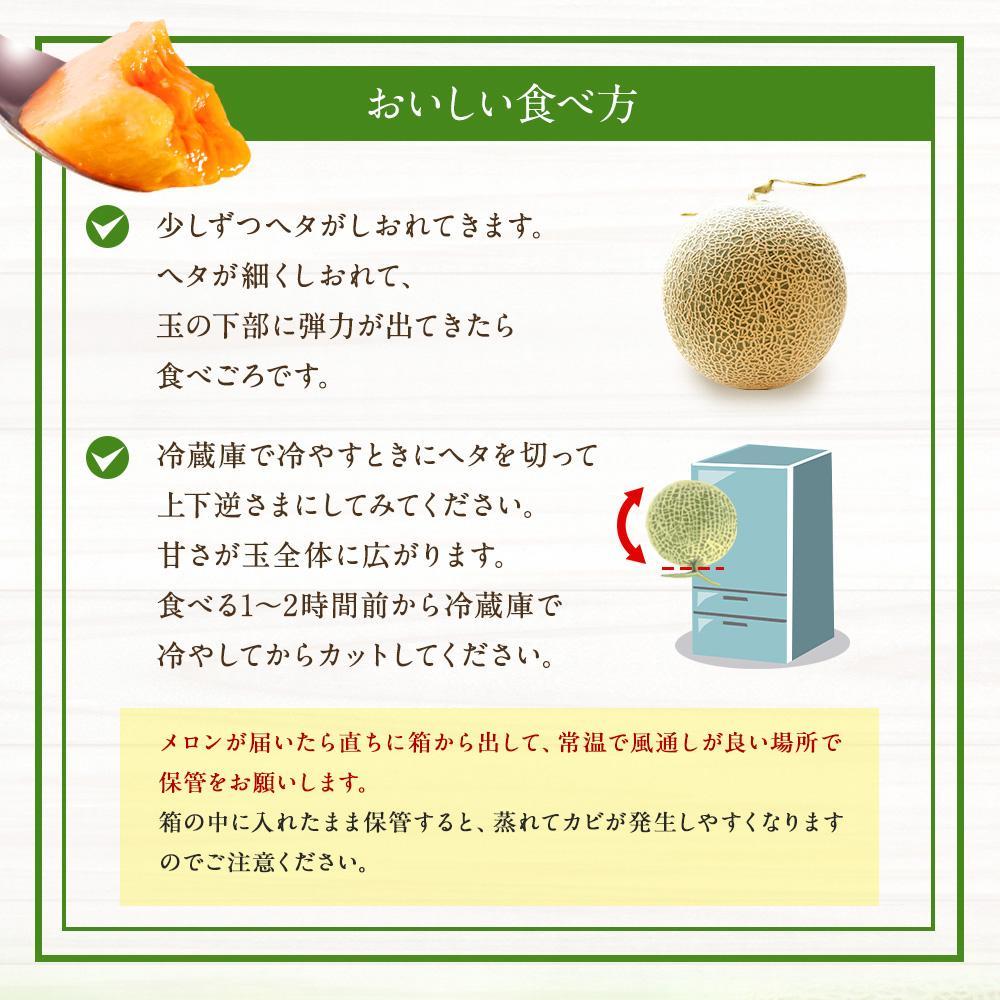 ◆楽天限定◆ 売れ筋商品！北海道産「赤肉メロン」LまたはLL×2個【フルーツ メロン 赤肉 メロン 旬 通販 甘い 北海道 旭川市 北海道】｜メロン2個