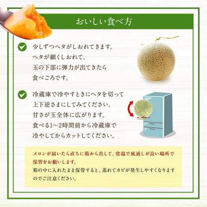 ◆楽天限定◆ 売れ筋商品！北海道産「赤肉メロン」LまたはLL×2個【フルーツ メロン 赤肉 メロン 旬 通販 甘い 北海道 旭川市 北海道】｜メロン2個