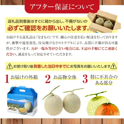 ◆楽天限定◆ 売れ筋商品！北海道産「赤肉メロン」LまたはLL×2個【フルーツ メロン 赤肉 メロン 旬 通販 甘い 北海道 旭川市 北海道】｜メロン2個