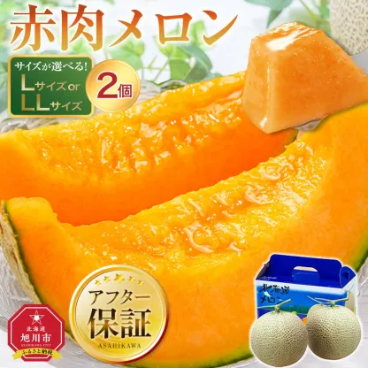◆楽天限定◆ 売れ筋商品！北海道産「赤肉メロン」LまたはLL×2個【フルーツ メロン 赤肉 メロン 旬 通販 甘い 北海道 旭川市 北海道】｜メロン2個