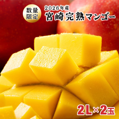 【数量限定】宮崎県産 完熟マンゴー 2リットル×2個（350g-449g以上×2個）宮崎県産完熟マンゴー 旬の果物 マンゴー 送料無料 [KU019]