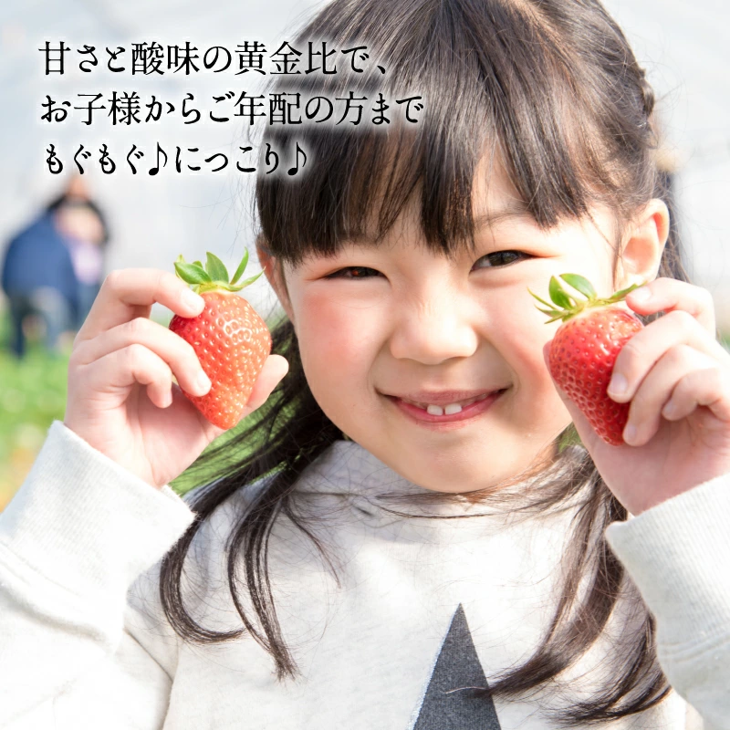 一番人気ギフト★数量限定★あまおう苺 約1080g 福岡県産（プレミアムフルーツ A1609【あまおう】）