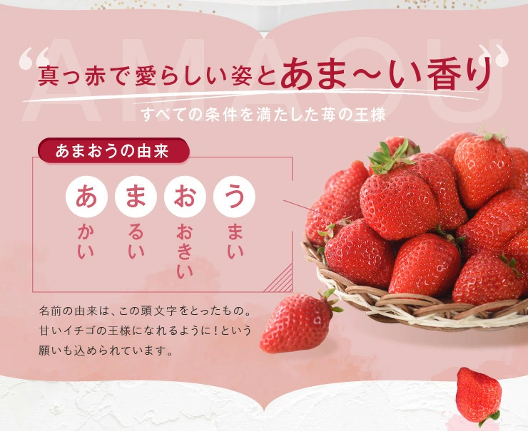 一番人気ギフト★数量限定★あまおう苺 約1080g 福岡県産（プレミアムフルーツ A1609【あまおう】）