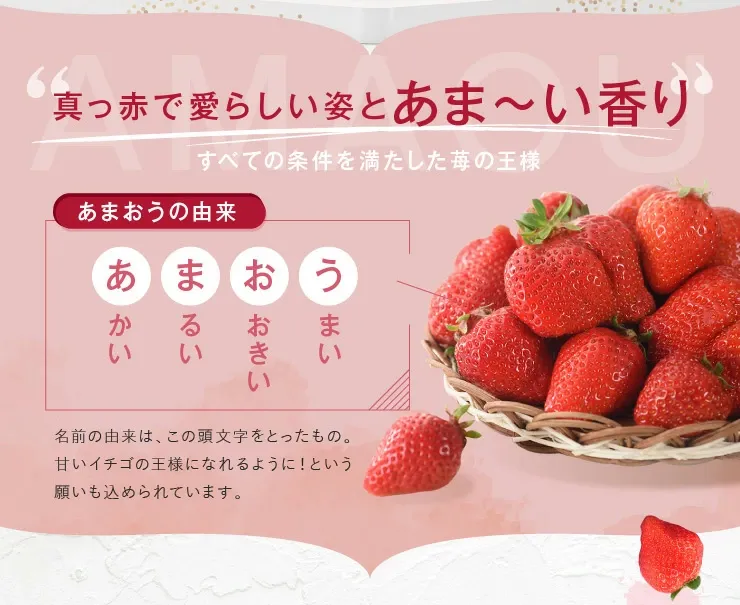 一番人気ギフト★数量限定★あまおう苺 約1080g 福岡県産（プレミアムフルーツ A1609【あまおう】）