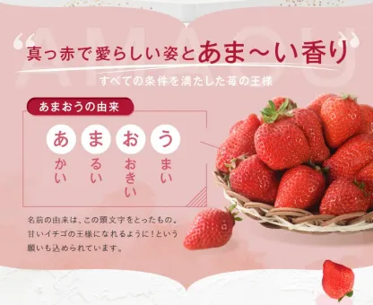 一番人気ギフト★数量限定★あまおう苺 約1080g 福岡県産（プレミアムフルーツ A1609【あまおう】）