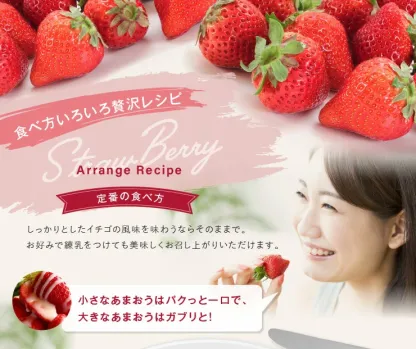 一番人気ギフト★数量限定★あまおう苺 約1080g 福岡県産（プレミアムフルーツ A1609【あまおう】）