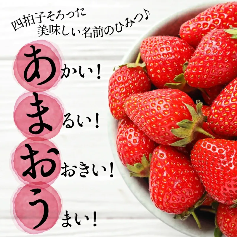 一番人気ギフト★数量限定★あまおう苺 約1080g 福岡県産（プレミアムフルーツ A1609【あまおう】）